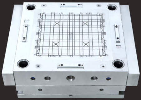 Enviro Mold_3I3A5108